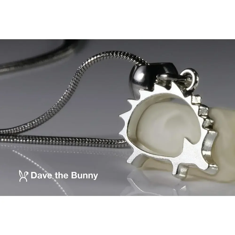 Dave The Bunny ages 13